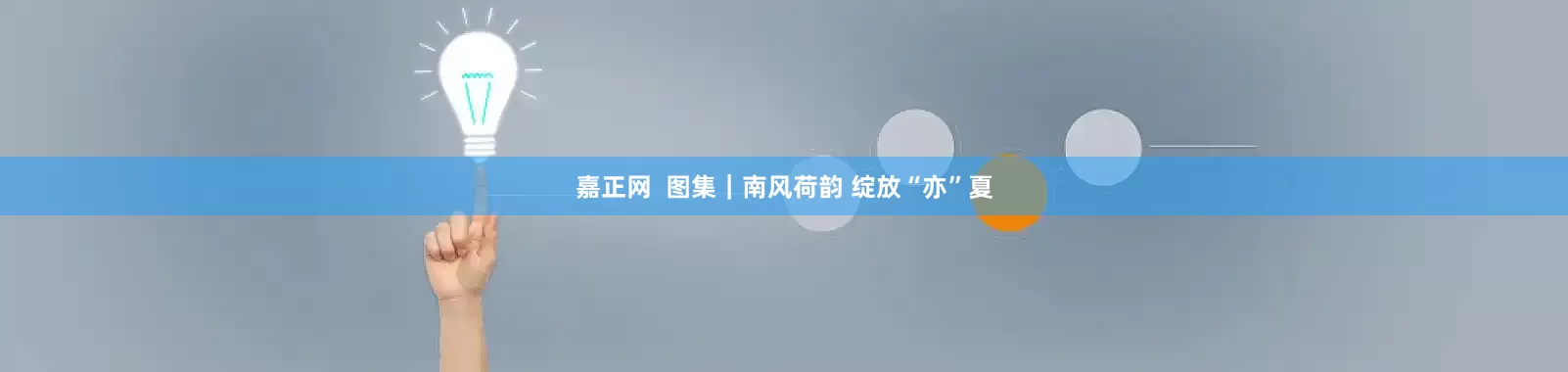 嘉正网  图集｜南风荷韵 绽放“亦”夏
