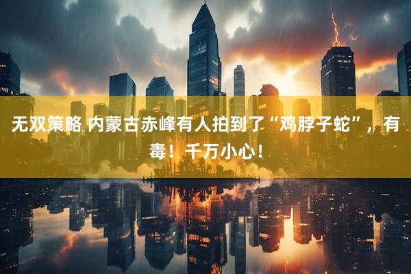 无双策略 内蒙古赤峰有人拍到了“鸡脖子蛇”，有毒！千万小心！