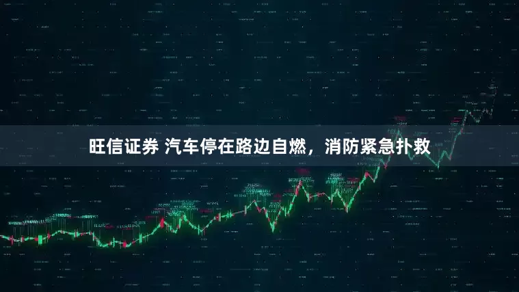 旺信证券 汽车停在路边自燃，消防紧急扑救