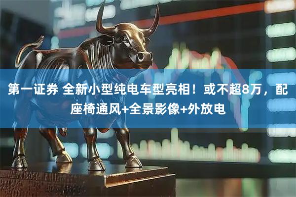 第一证券 全新小型纯电车型亮相！或不超8万，配座椅通风+全景影像+外放电