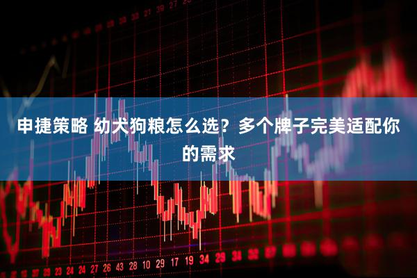 申捷策略 幼犬狗粮怎么选？多个牌子完美适配你的需求