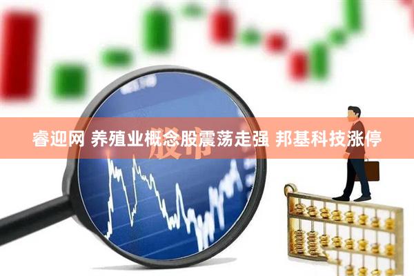 睿迎网 养殖业概念股震荡走强 邦基科技涨停