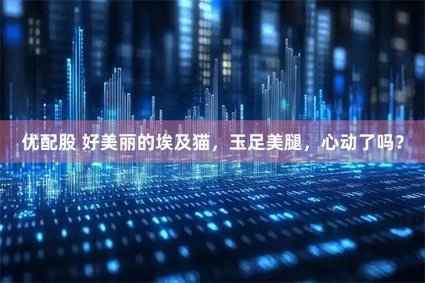 优配股 好美丽的埃及猫，玉足美腿，心动了吗？
